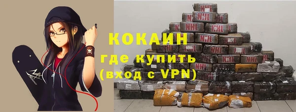 шишки Нягань