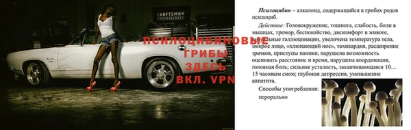 apvp Новокубанск