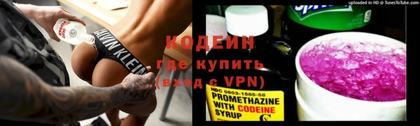 шишки Нягань