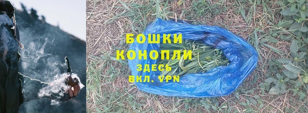 шишки Нягань