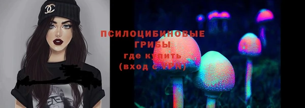 шишки Нягань