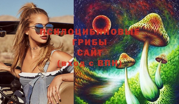 PSILOCYBIN Няндома