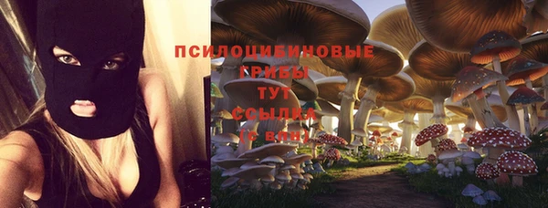 шишки Нягань