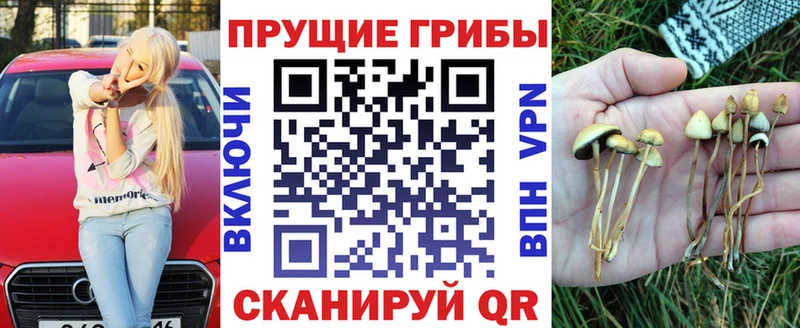 Псилоцибиновые грибы Magic Shrooms  где продают наркотики  Козьмодемьянск 