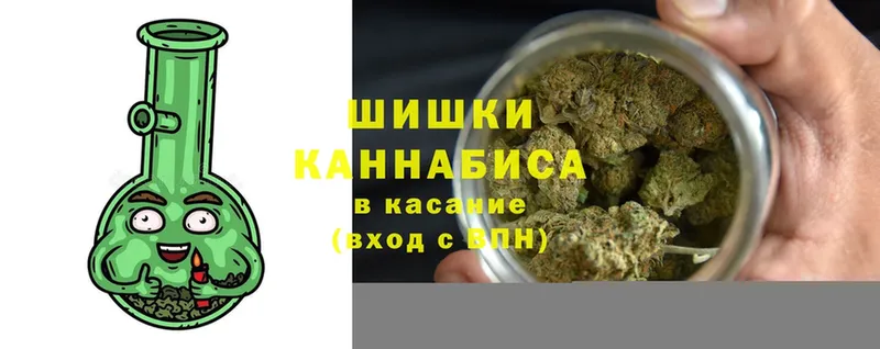 Шишки марихуана индика  Козьмодемьянск 